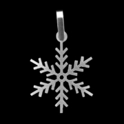 Ziemas zvaigzne